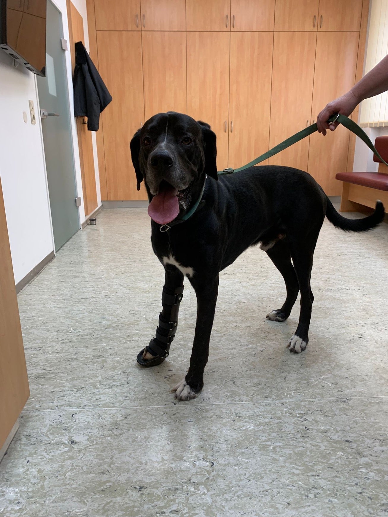 Einschalen-Orthese für das Karpalgelenk