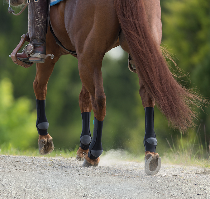 EquiCrown active Kompressionsbandage