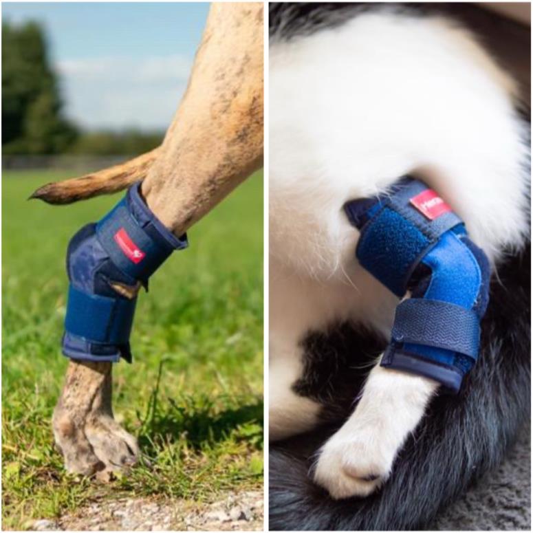 Sprunggelenkbandage Schaumstoff zur Ruhigstellung bei Bandinstabilitäten