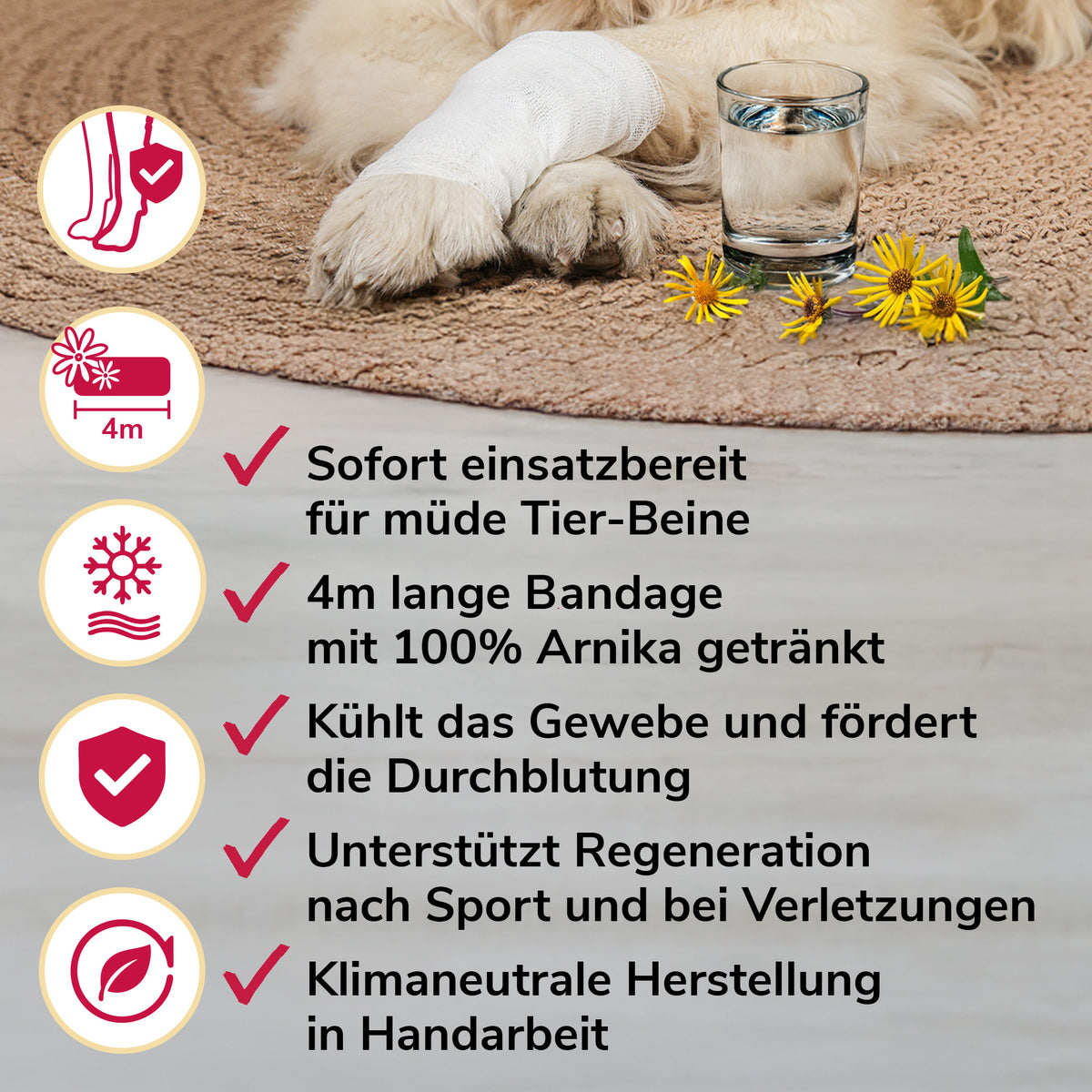 Arnikawunderwickel Anwendung