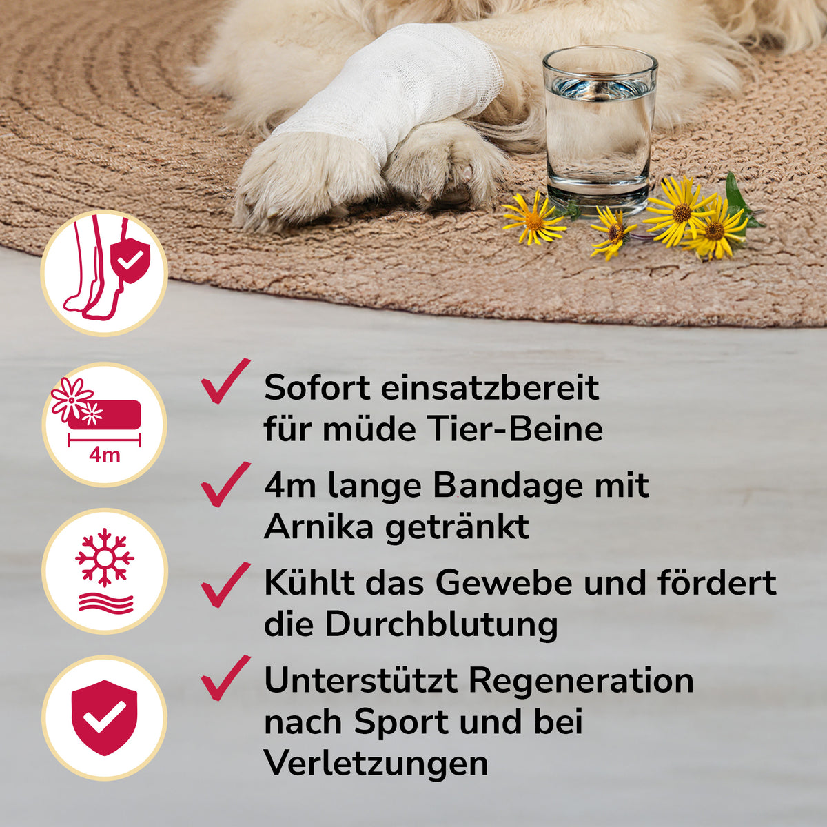 Arnikawunderwickel bei Verletzungen, zur Regeneration