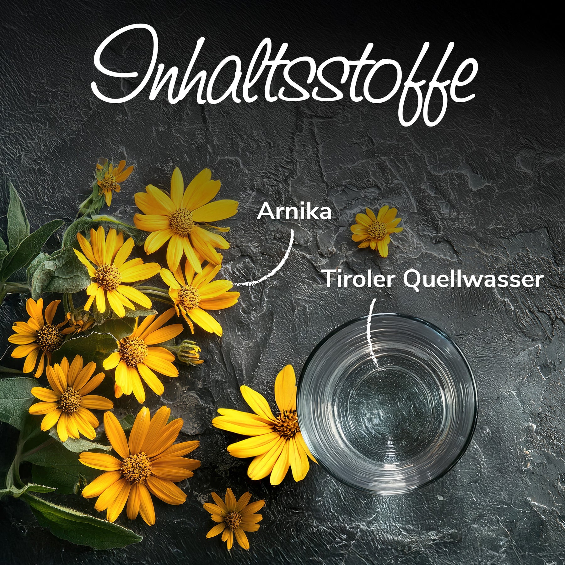 Arnikawunderwickel Inhaltsstoffe