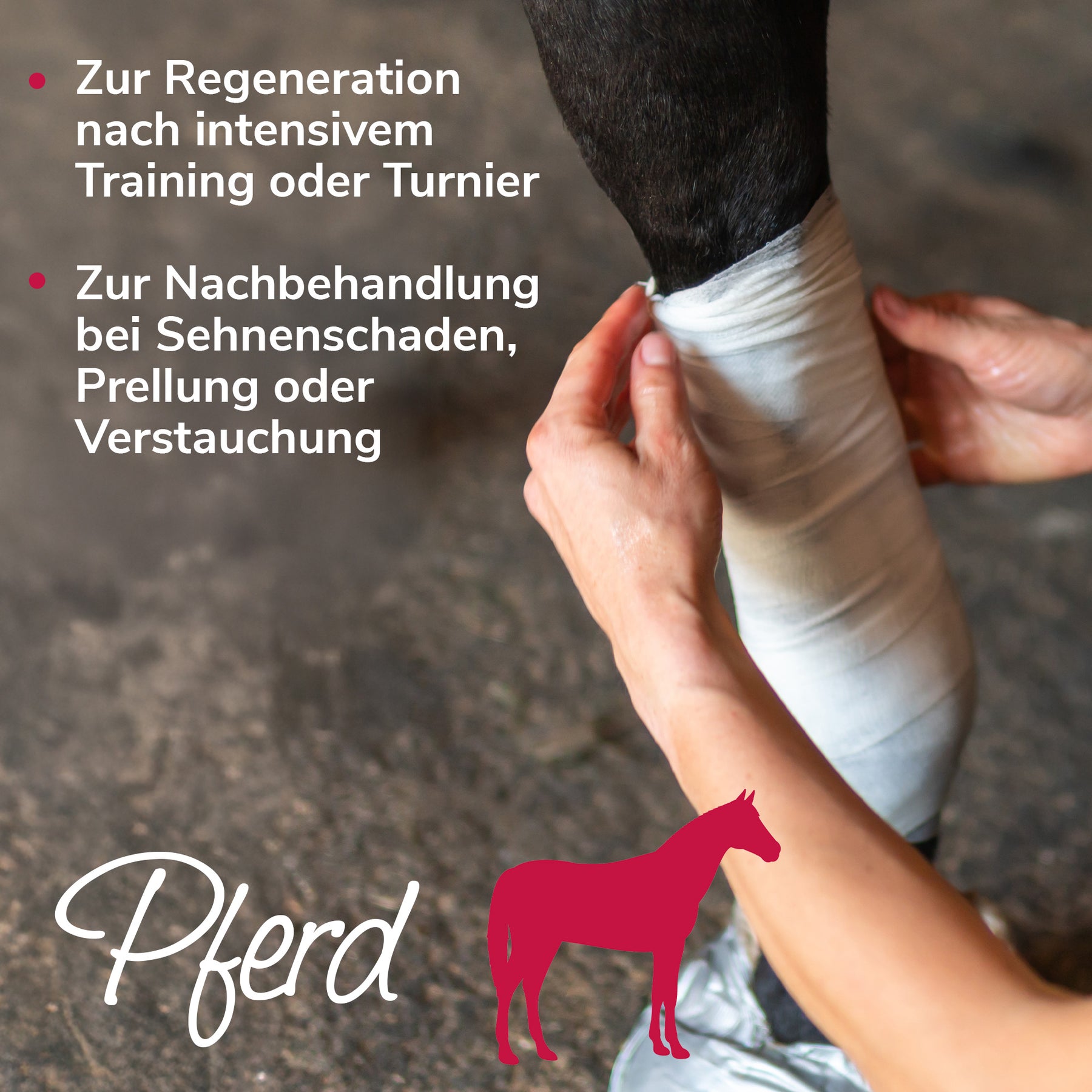 Arnikawunderwickel Anwendungsbeispiel Pferd