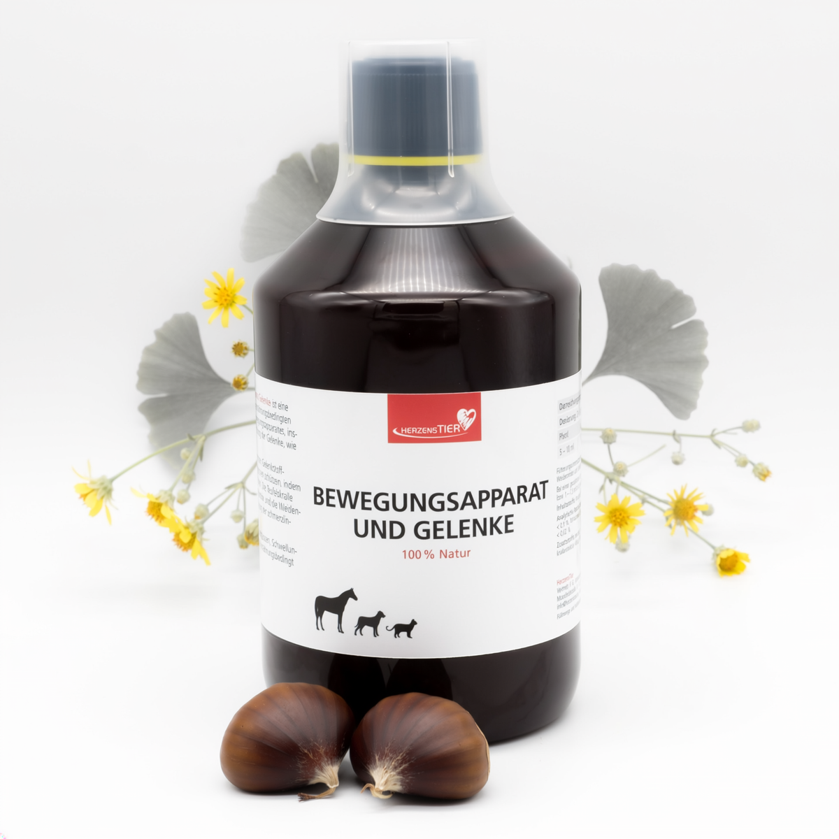 Bewegungsapparat und Gelenke Hauptbild