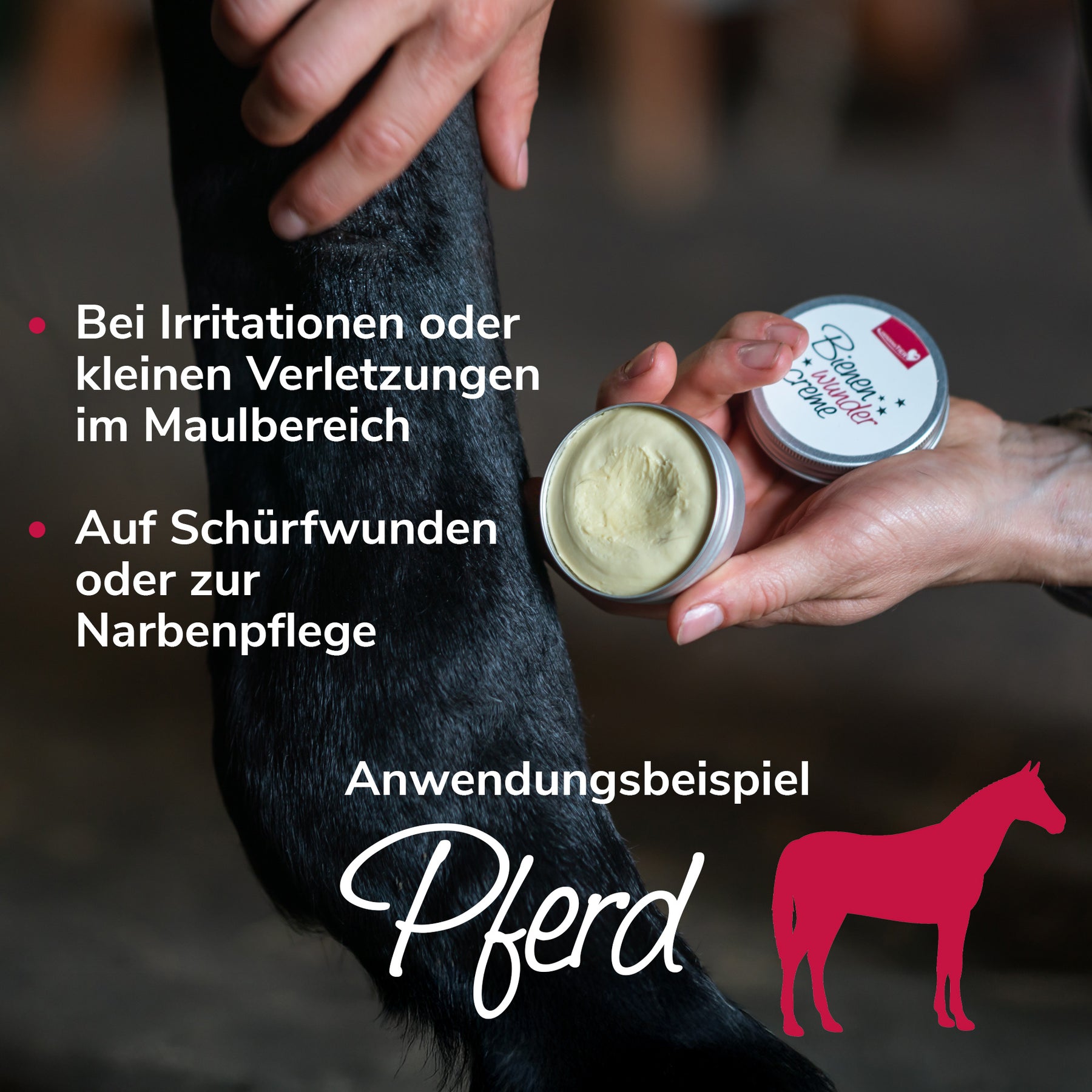 Bienenwundercreme Anwendung Pferd