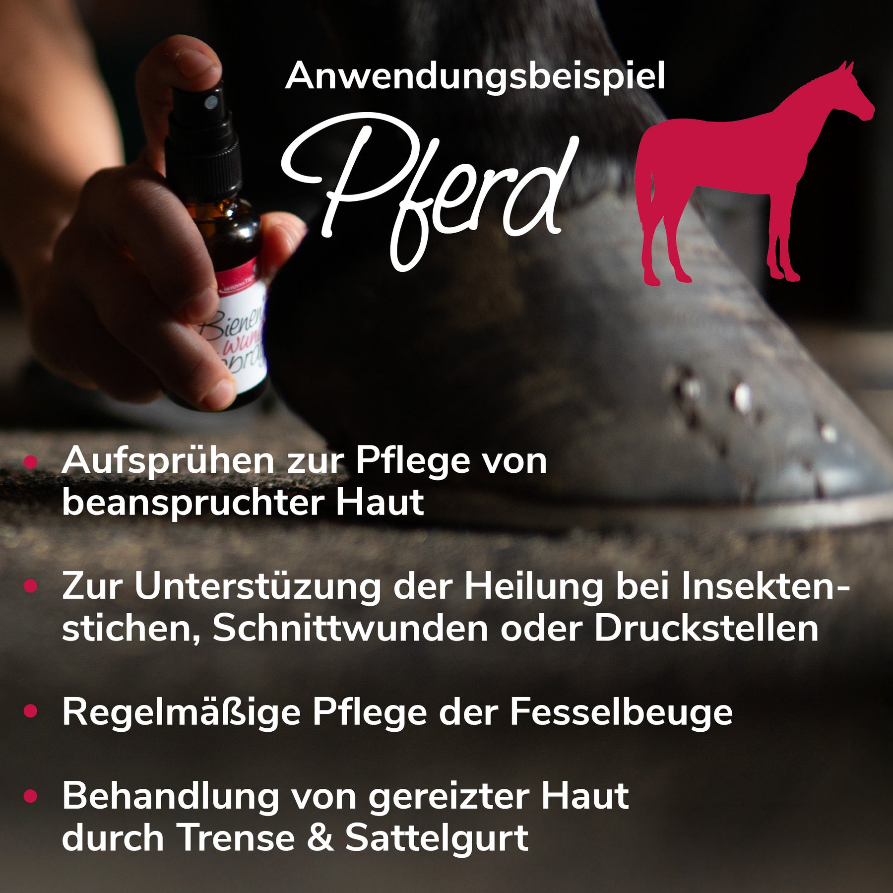 Bienenwunderspray für Pfote, Haut & Nase
