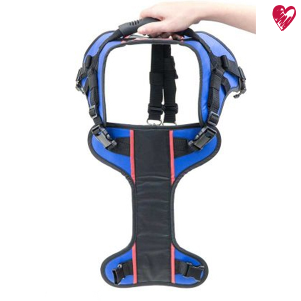 Brustgeschirr mit Tragehilfe (auch für Einsatz im Rolli)