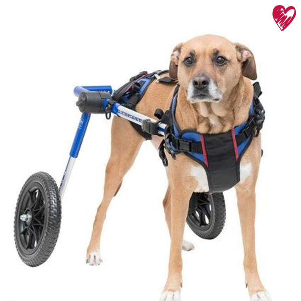 Brustgeschirr mit Tragehilfe (auch für Einsatz im Rolli)