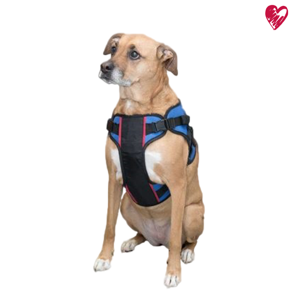 Brustgeschirr mit Tragehilfe (auch für Einsatz im Rolli)