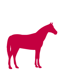 Pferd 2 Icon Frontpage