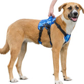 Brustgeschirr mit Hebehilfe 2.0