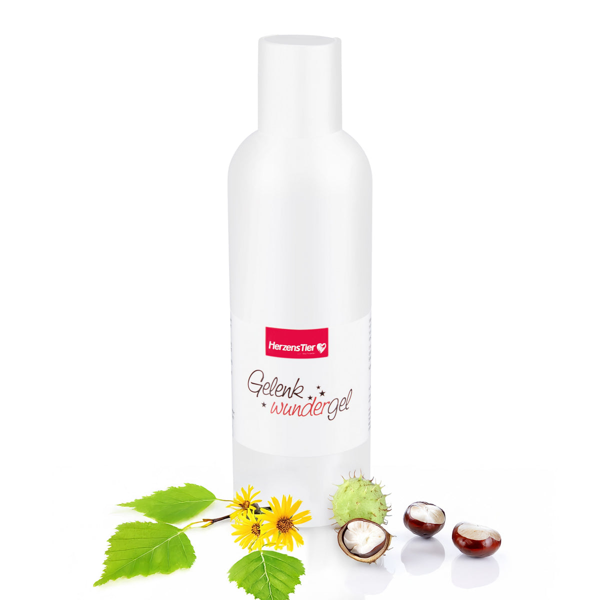 Gelenkwundergel Hauptbild