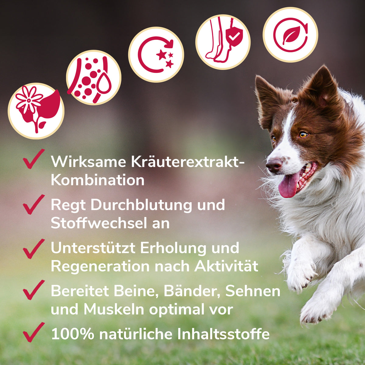 Gelenkwundergel Anwendung