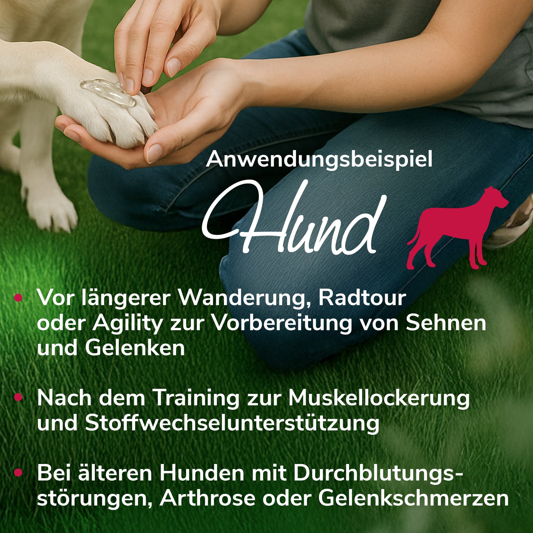 Gelenkwundergel Anwendungsbeispiel Hund