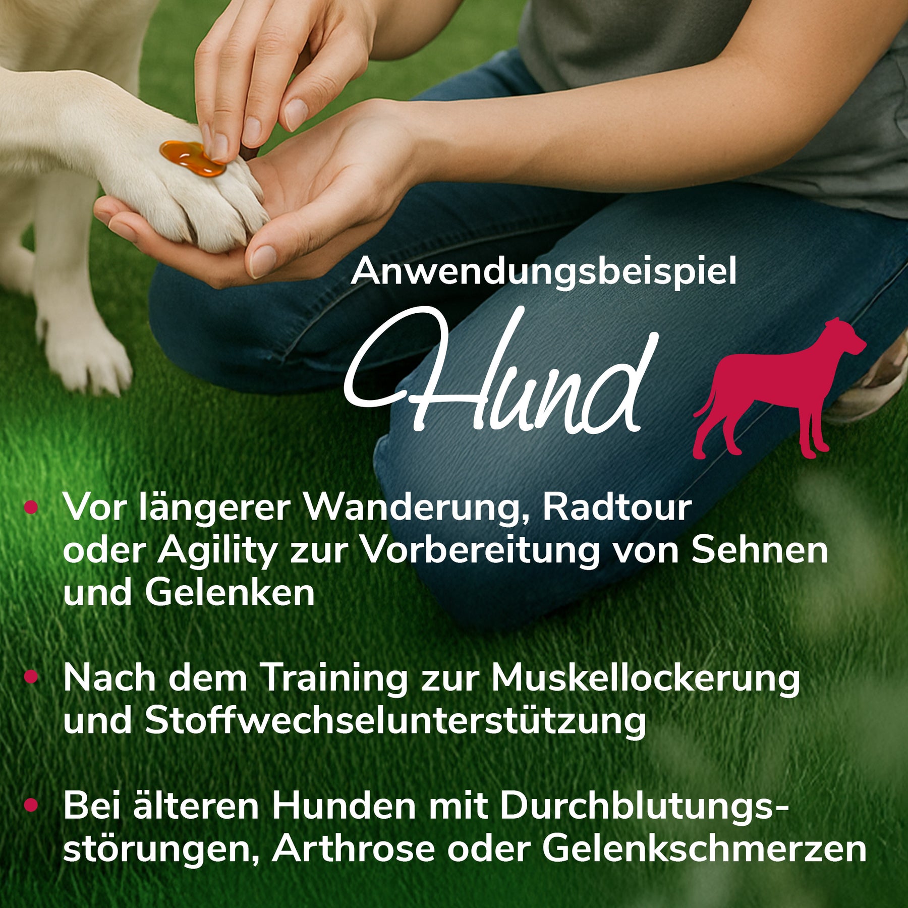 Gelenkwundergel Anwendungsbeispiel Hund