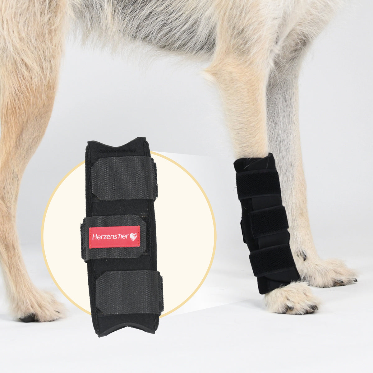 Karpalgelenksbandage Hund