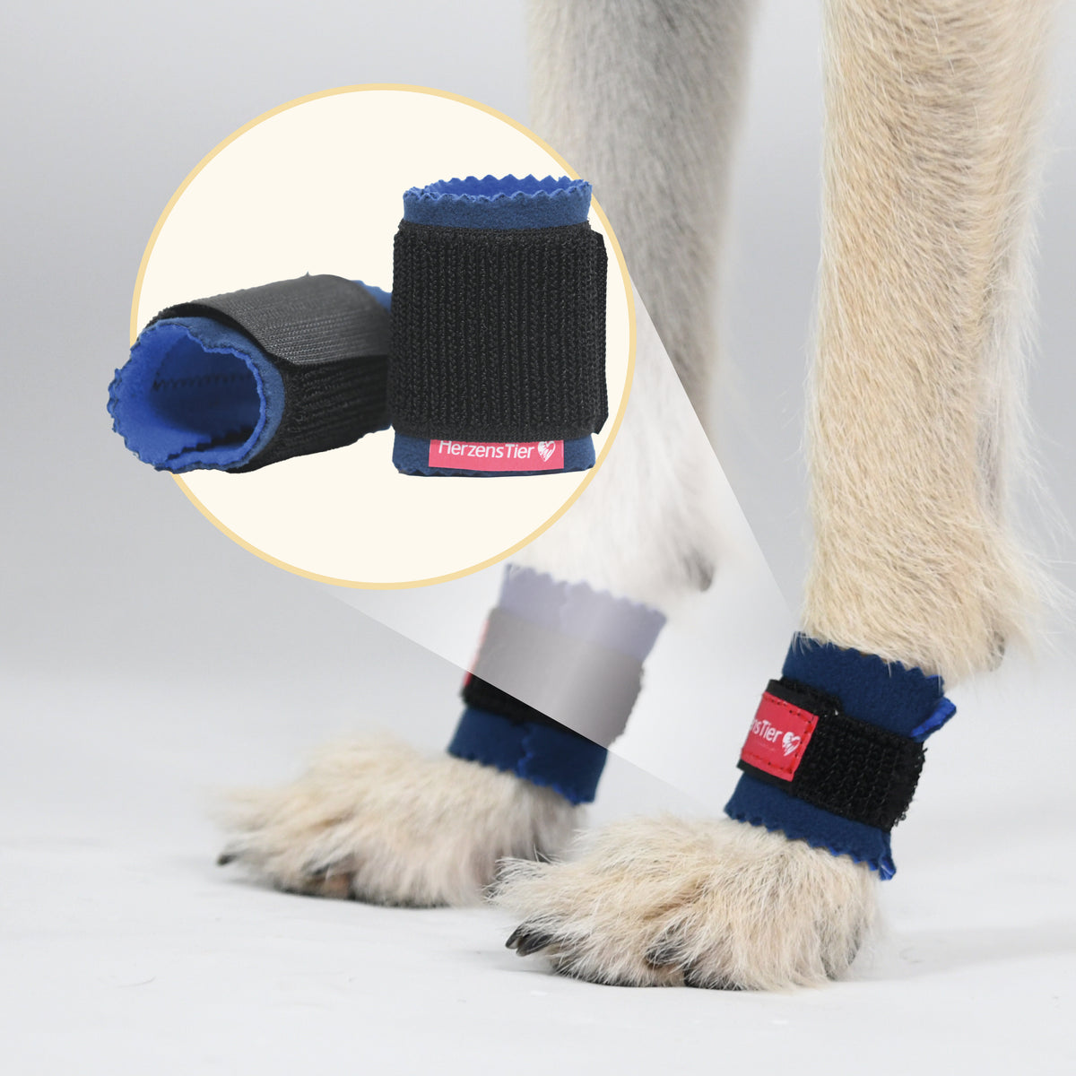 Krallenschutz Hauptbild