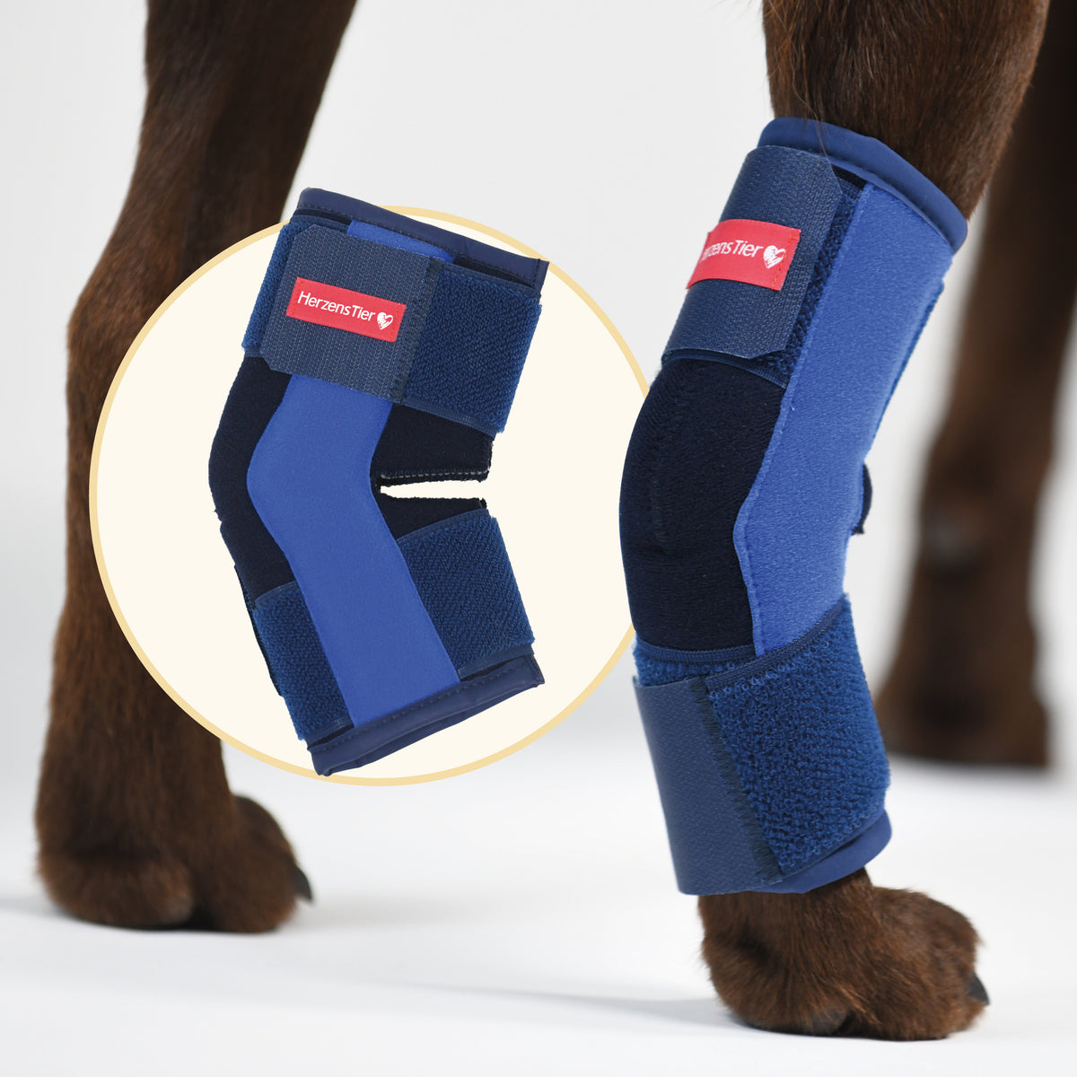 Sprunggelenksbandage Schaumstoff Hauptbild