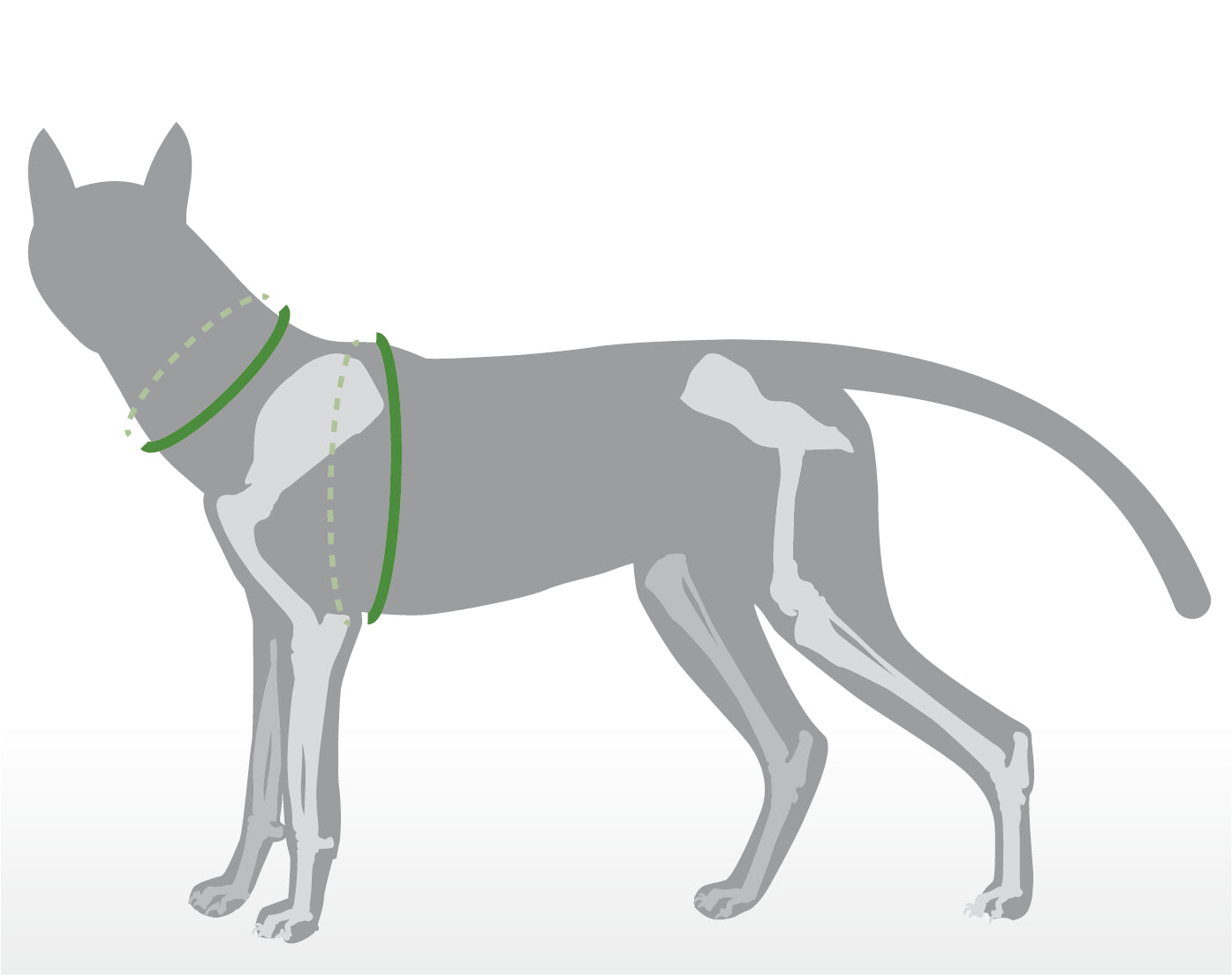 Neoprenweste für kleinen Rollwagen (5-11 kg)