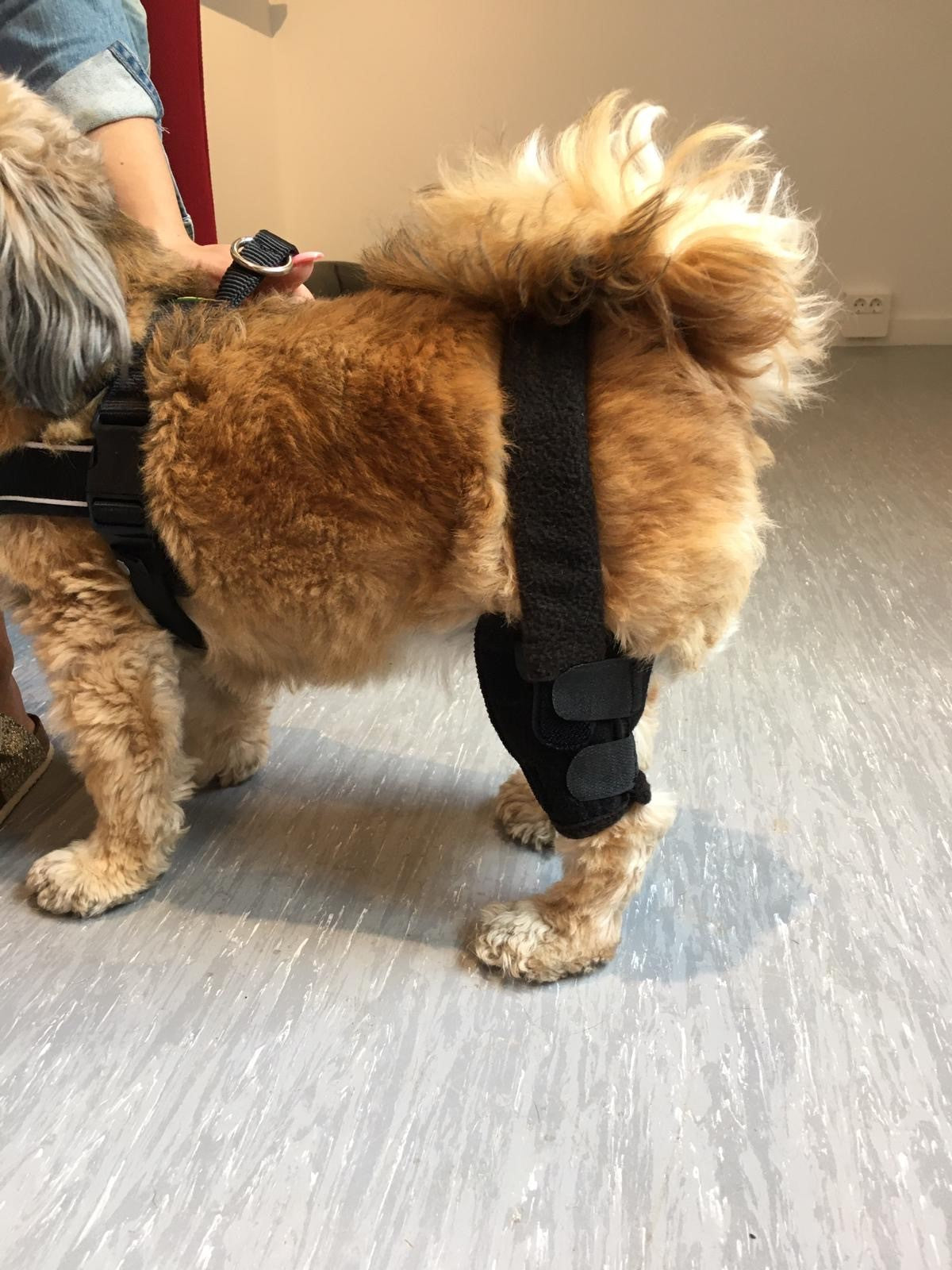 Kniebandage nach Maß