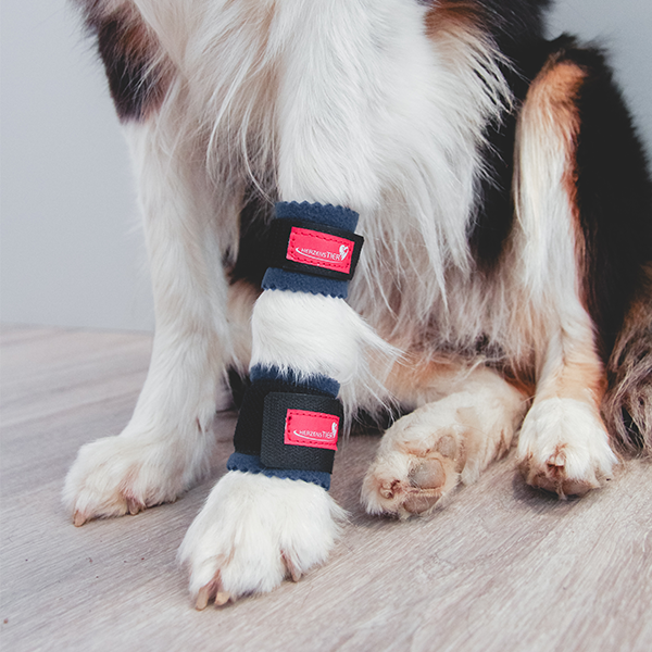 Krallenschutzbandage für Daumenkralle & Wolfskralle