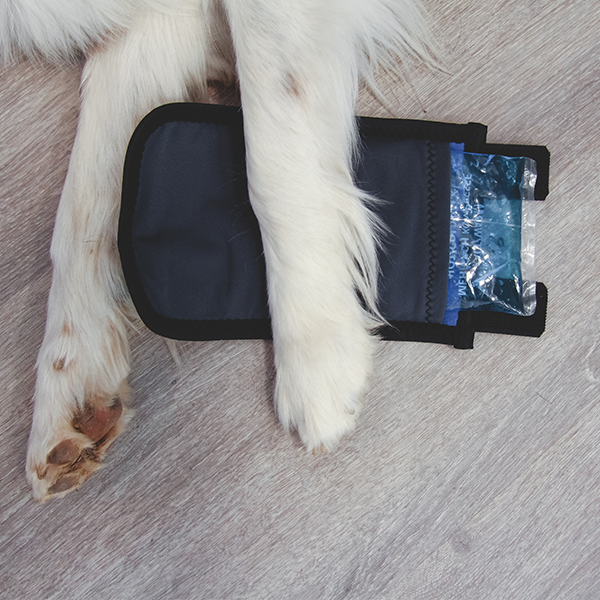 Kühl- und Wärmebandage bei Verletzung, Entzündung, Schwellung