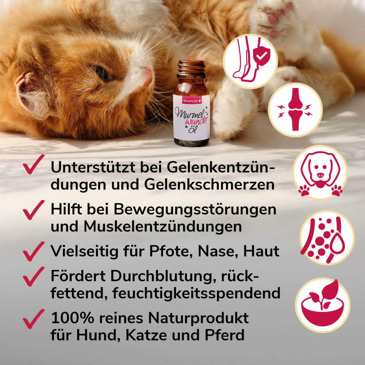 Murmelwunderöl Verwendungszwecke