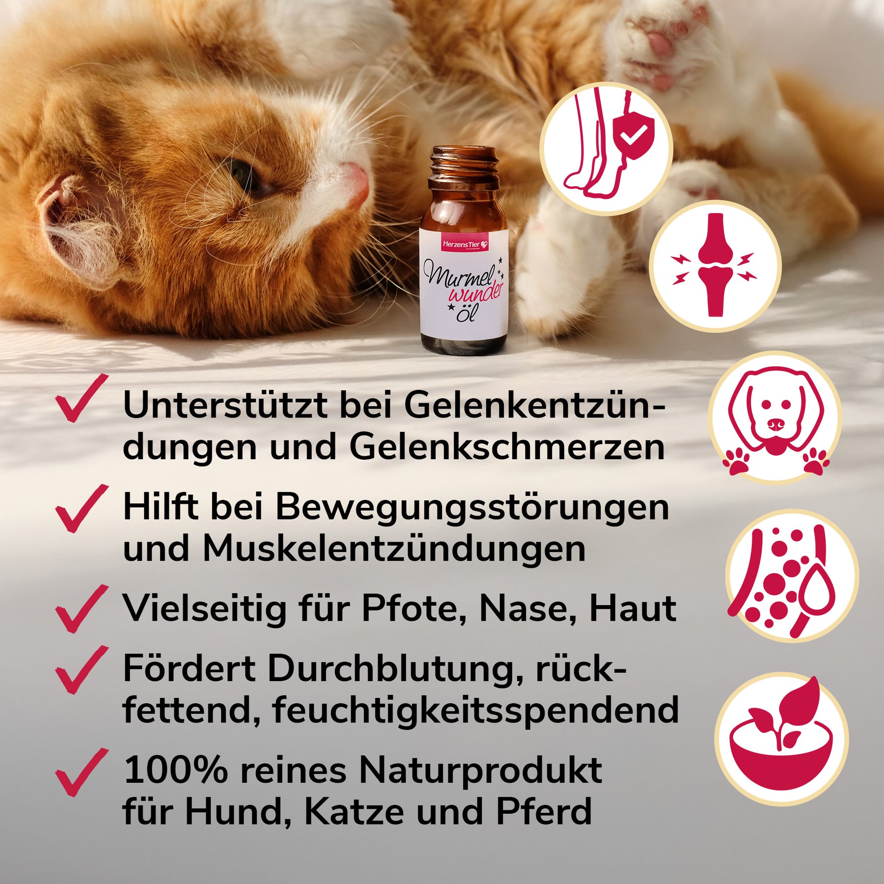 Murmelwunderöl Verwendungszwecke