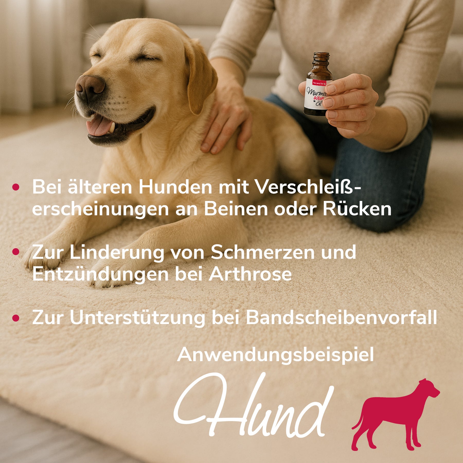 Murmelwunderöl Anwendungsbeispiel Hund
