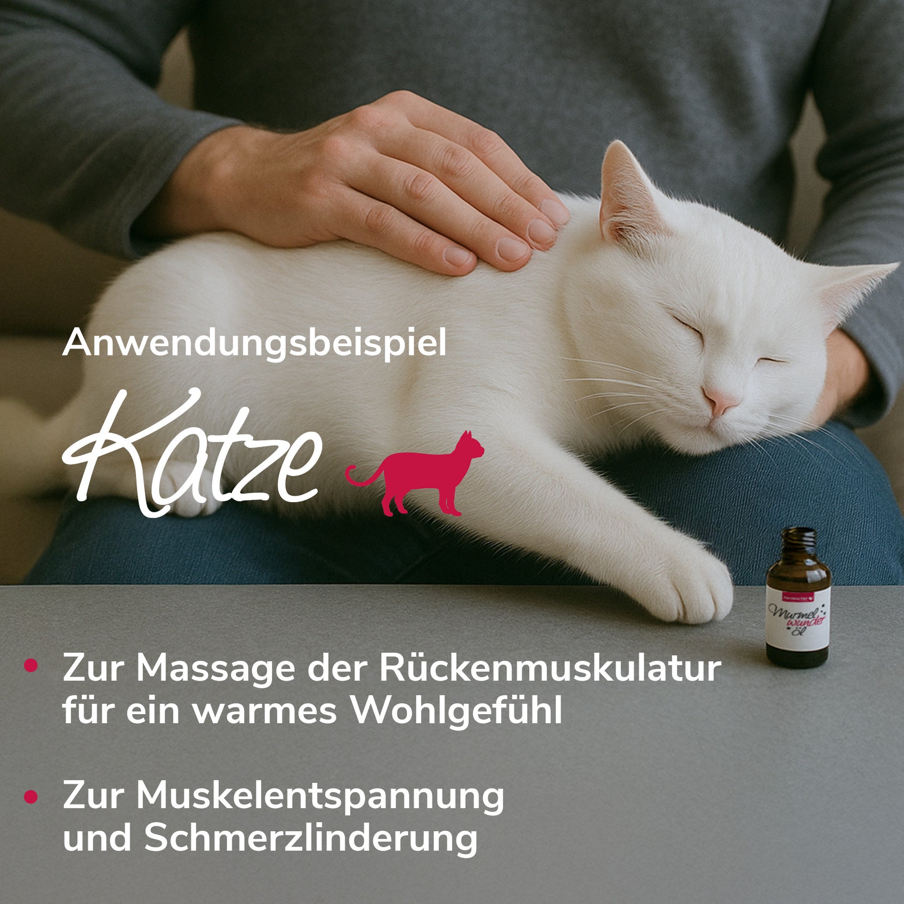Murmelwunderöl Anwendungsbeispiel Katze