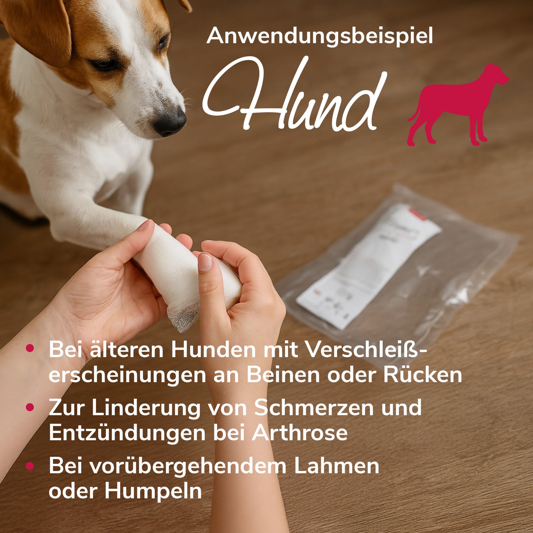 Murmelwunderwickel Anwendungsbeispiel Hund