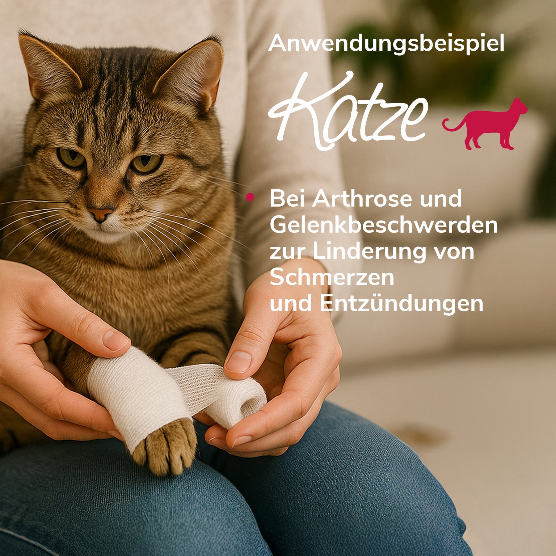 Murmelwunderwickel Anwendungsbeispiel Katze