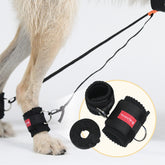 Trainingsbandage Hauptbild