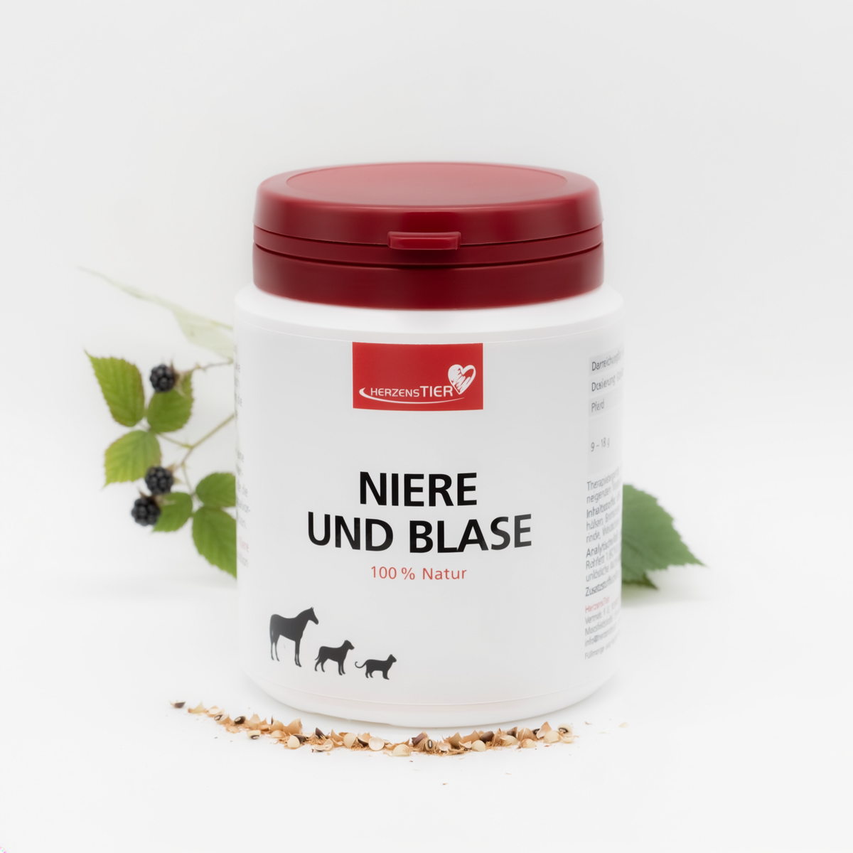 Niere und Blase Hauptbild