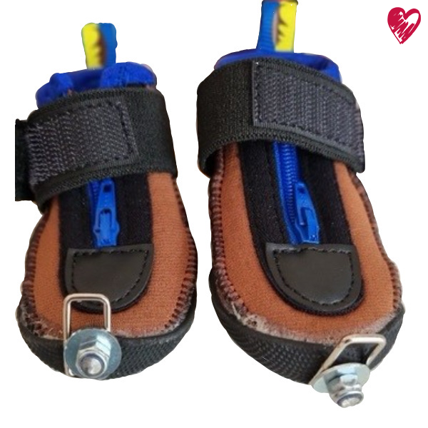 Ösen am Pfotenschuh & Universalpfotenschutz für Trainingsband