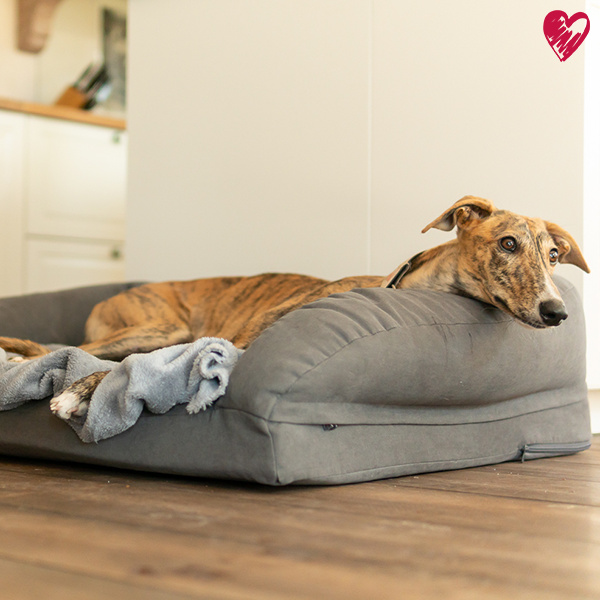 Orthopädischer Schlafplatz