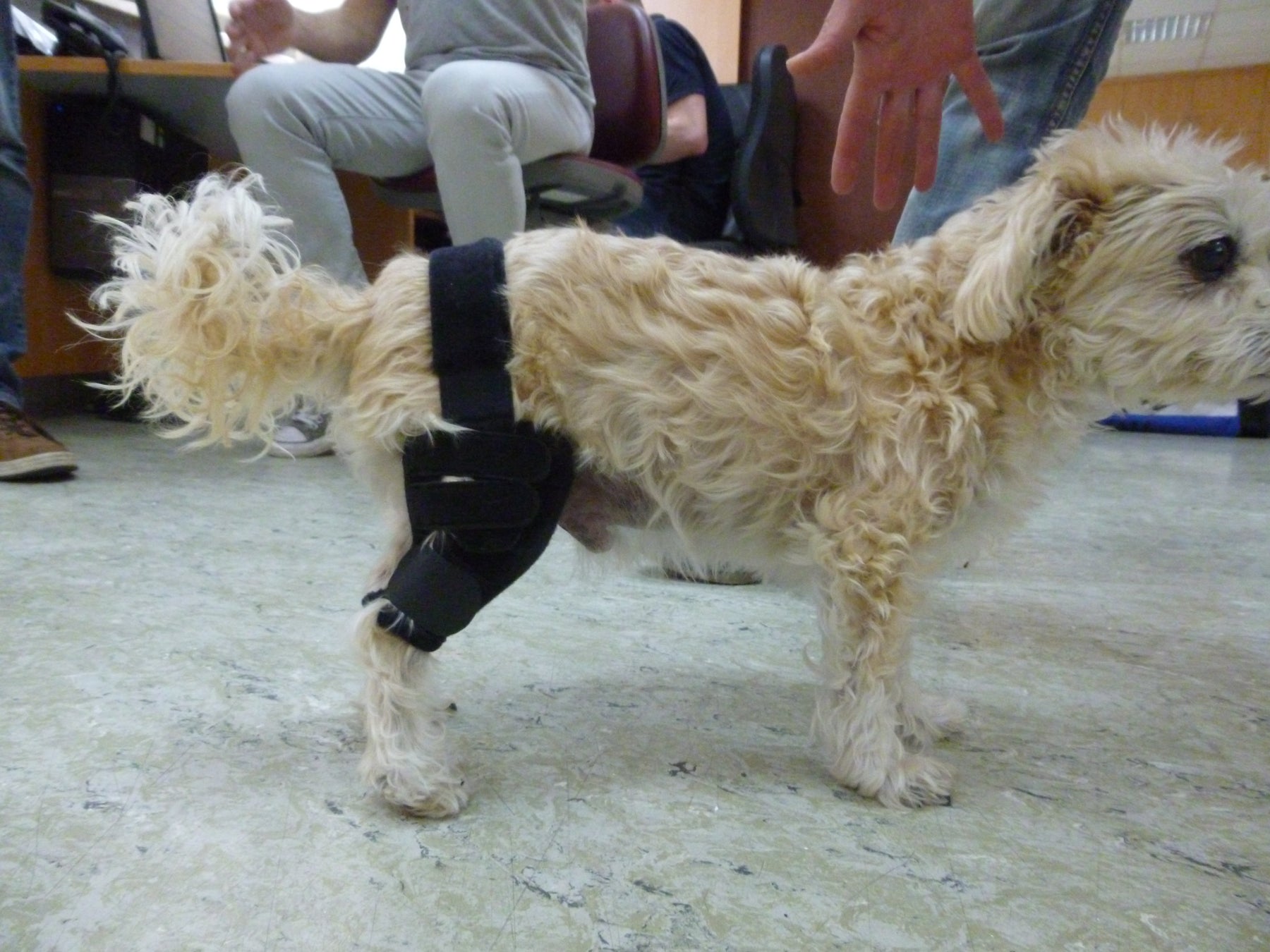 Kniebandage nach Maß