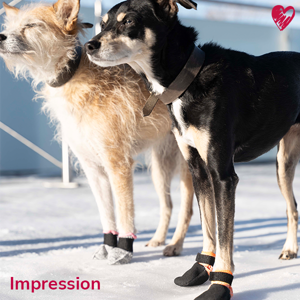 Universal-Pfotenschutz niedrig