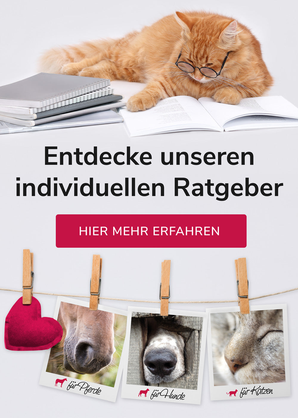 Zum Ratgeber