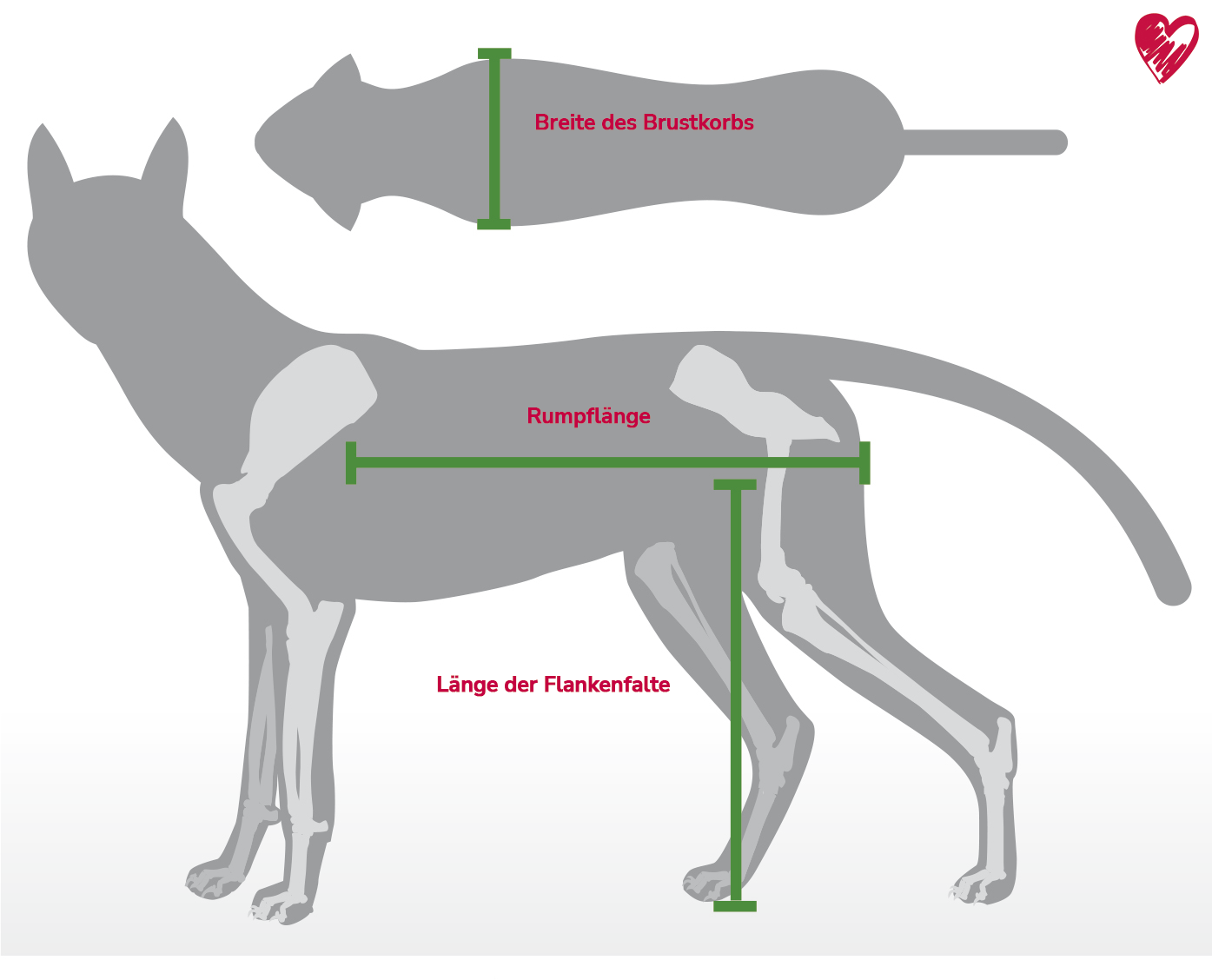 Walkin' Wheels Rollwagen für Hunde mit 32 - 82 kg