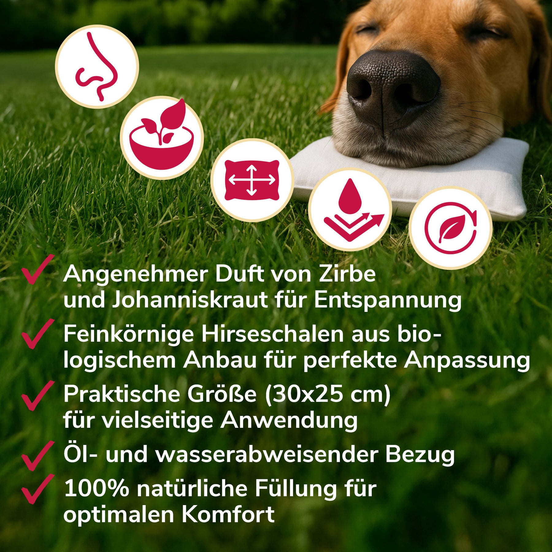 Ruhewunderkissen Anwendung