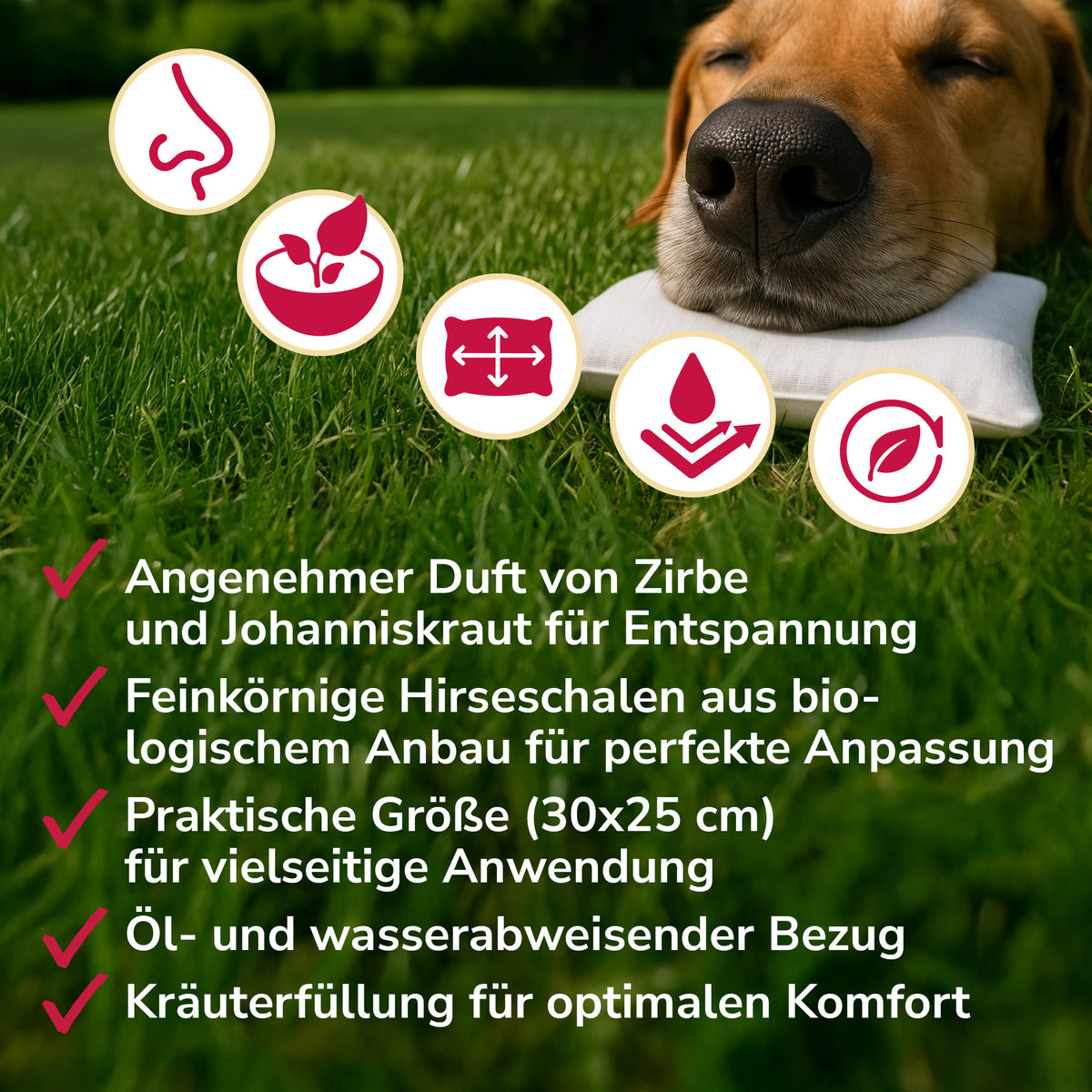 Ruhewunderkissen für Schlafplatz, Transportbox