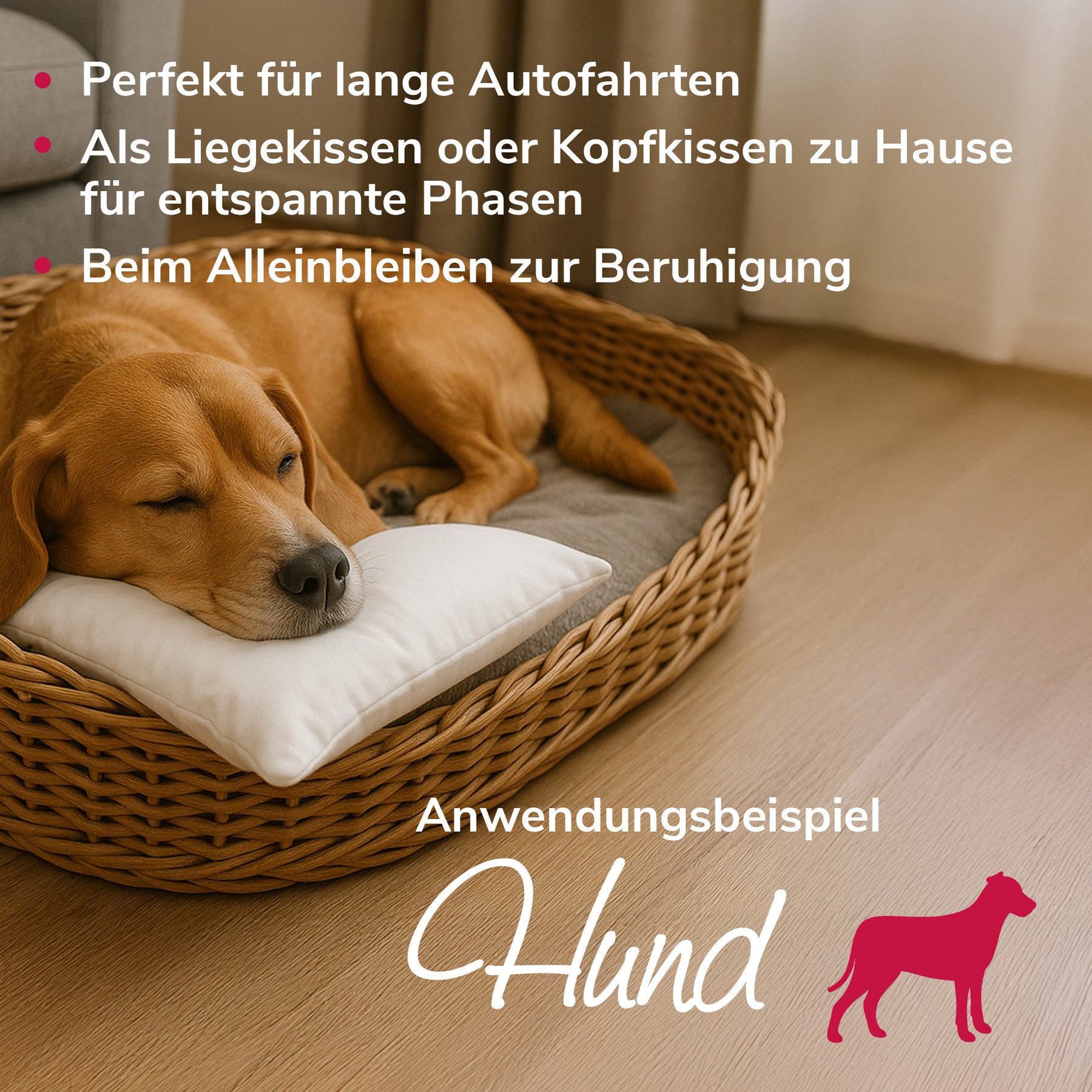 Ruhewunderkissen Anwendungsbeispiel Hund