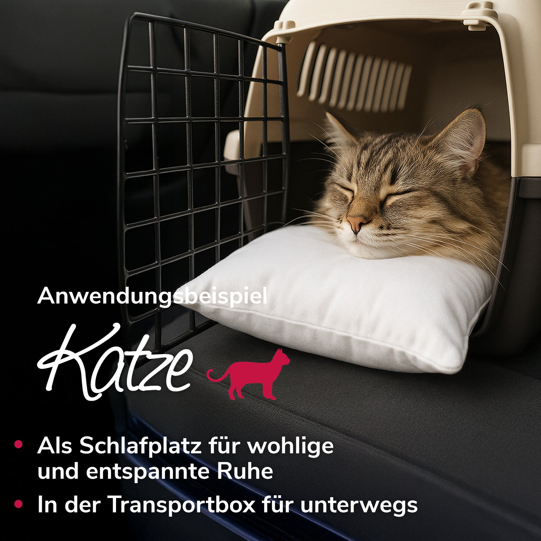 Ruhewunderkissen Anwendungsbeispiel Katze