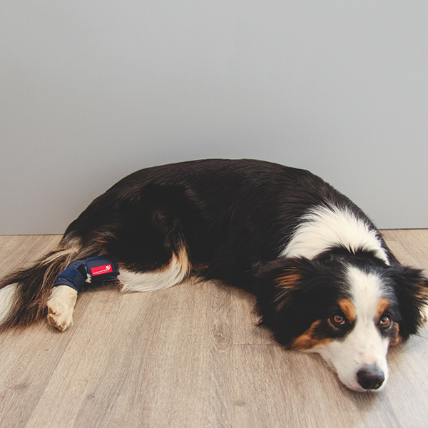 Sprunggelenkbandage Schaumstoff zur Ruhigstellung bei Bandinstabilitäten