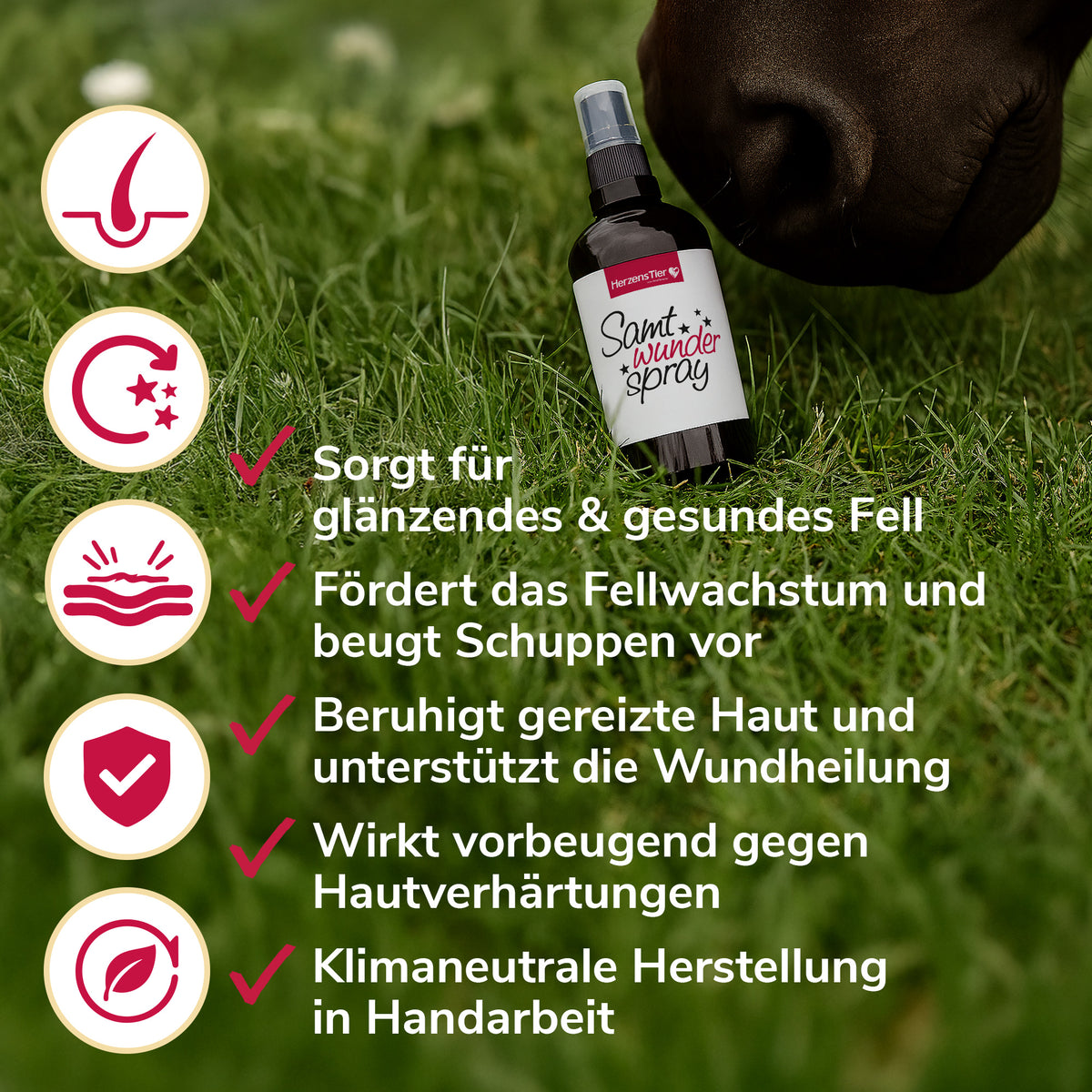 Samtwunderspray Anwendung
