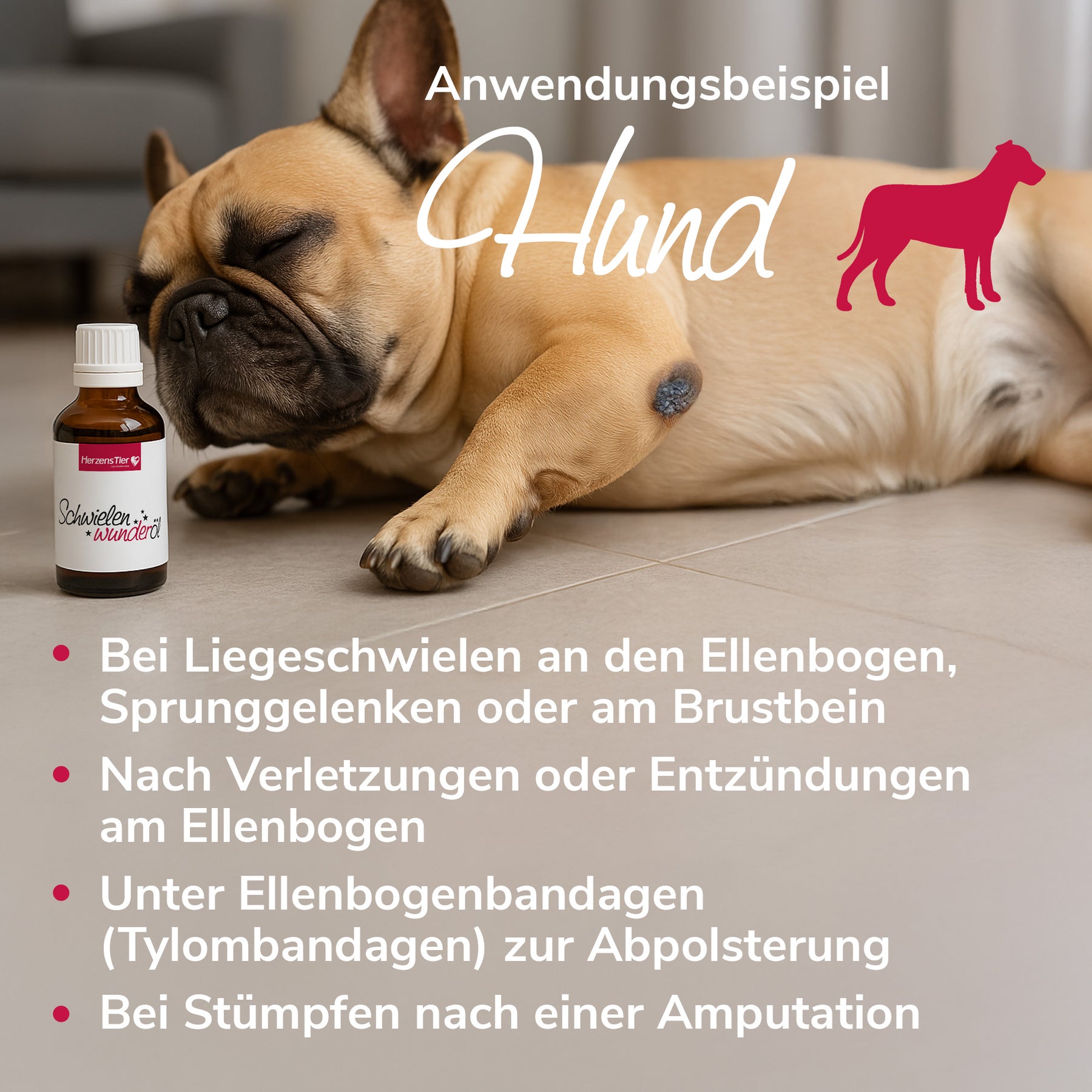 Schwielenwunderöl Anwendungsbeispiel Hund