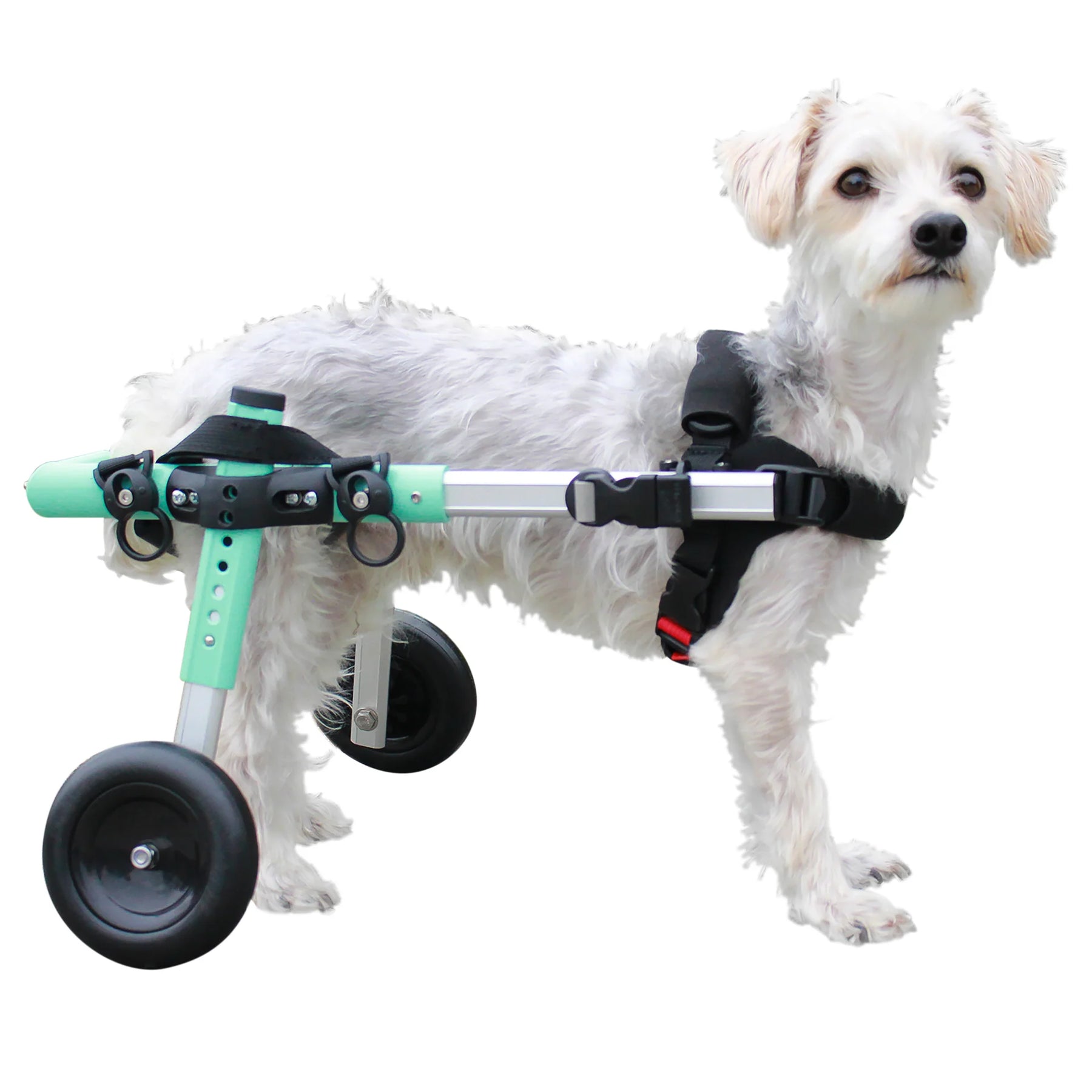 Walkin' Wheels Rollwagen für Hunde & Katzen mit 6 - 11 kg