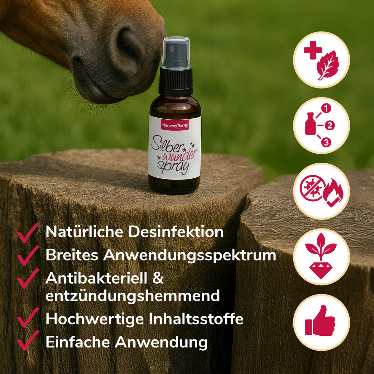 Silberwunderspray Anwendung