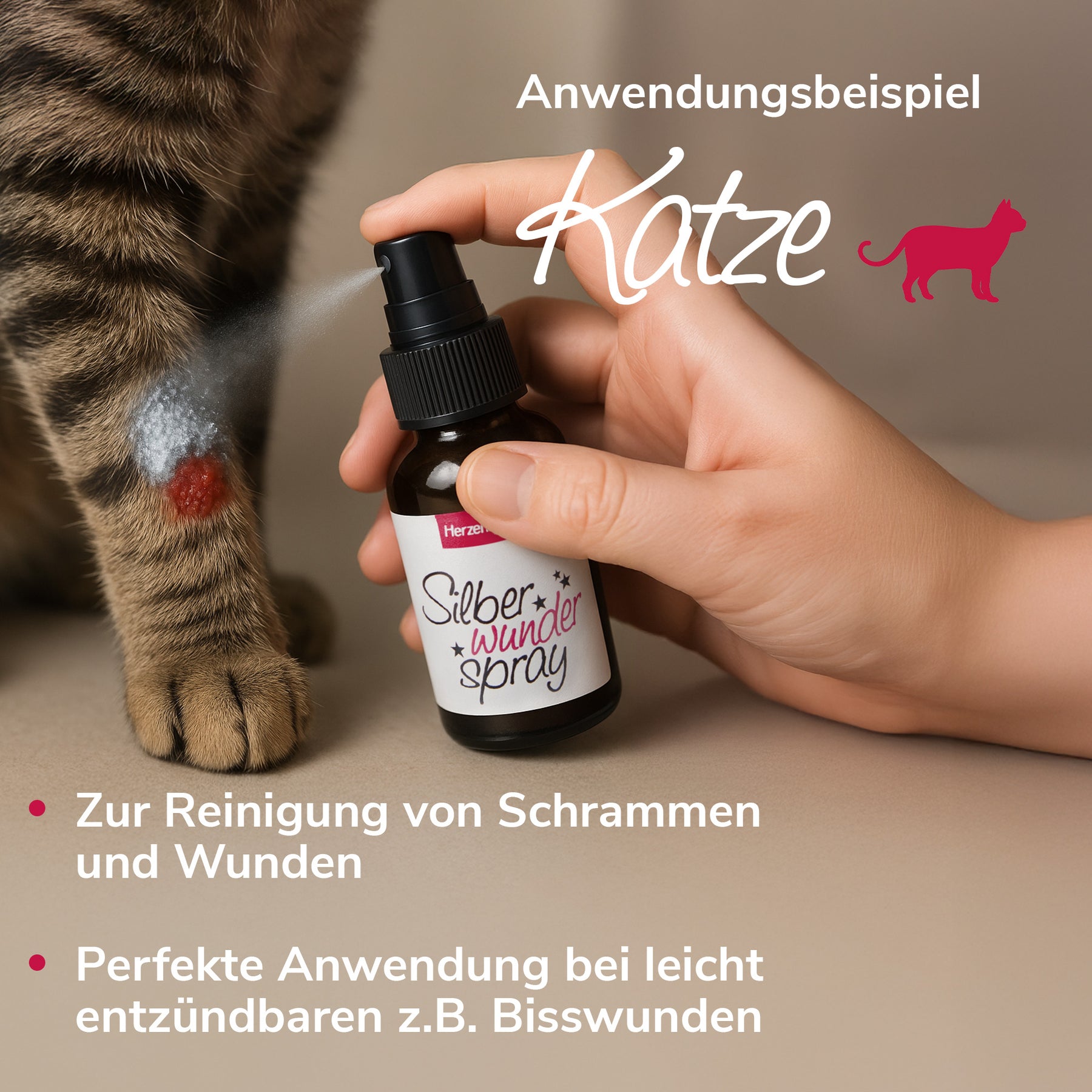 Silberwunderspray Anwendungsbeispiel Katze